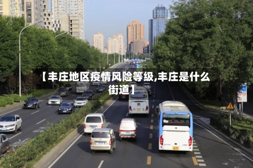 【丰庄地区疫情风险等级,丰庄是什么街道】-第1张图片