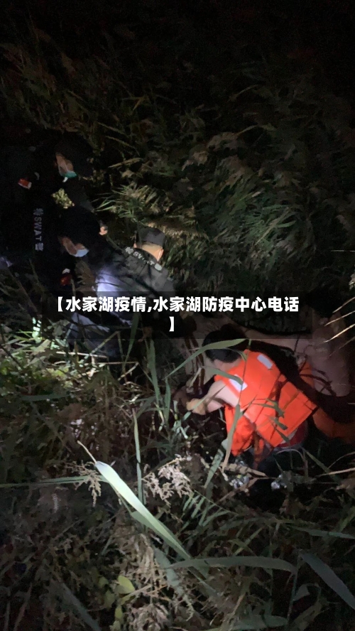 【水家湖疫情,水家湖防疫中心电话】-第2张图片