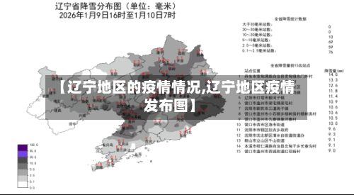 【辽宁地区的疫情情况,辽宁地区疫情发布图】-第2张图片
