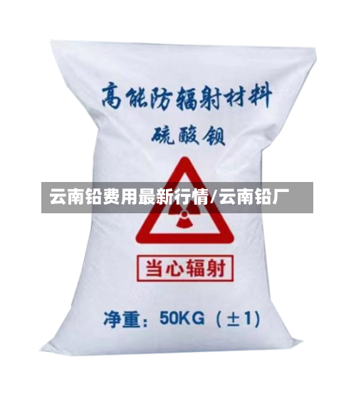云南铅费用最新行情/云南铅厂-第1张图片