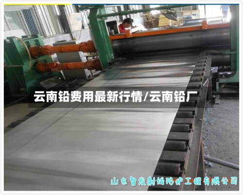 云南铅费用最新行情/云南铅厂-第2张图片