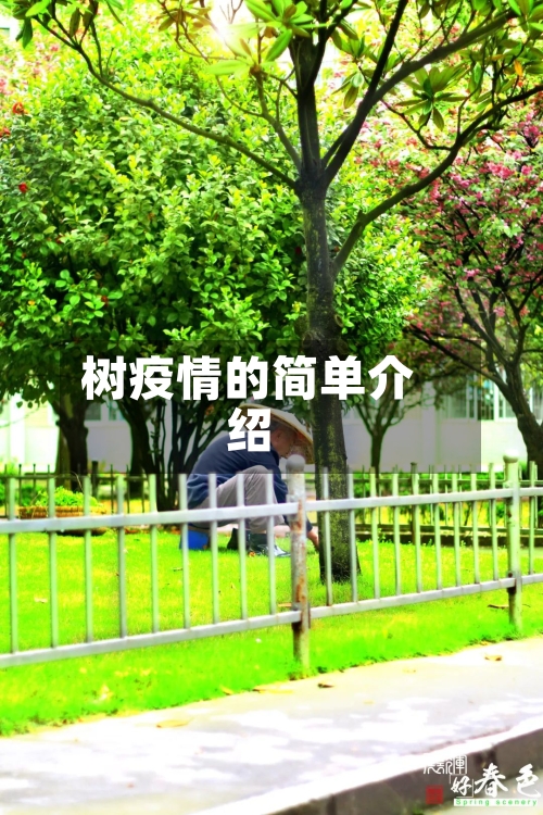 树疫情的简单介绍-第1张图片