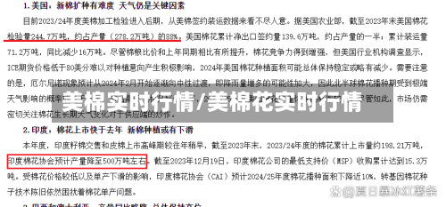 美棉实时行情/美棉花实时行情-第2张图片