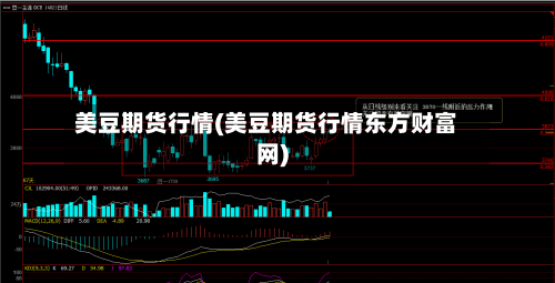 美豆期货行情(美豆期货行情东方财富网)-第3张图片