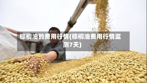 棕榈油的费用行情(棕榈油费用行情监测7天)-第1张图片