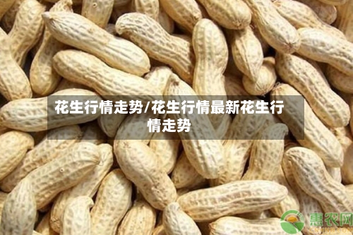 花生行情走势/花生行情最新花生行情走势-第1张图片