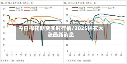 今日棉花期货实时行情/2025棉花大涨最新消息-第2张图片