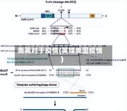 美英对于疫情(英媒美国疫情)-第2张图片
