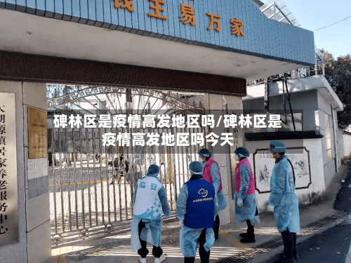 碑林区是疫情高发地区吗/碑林区是疫情高发地区吗今天-第3张图片
