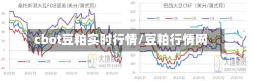 cbot豆粕实时行情/豆粕行情网-第1张图片