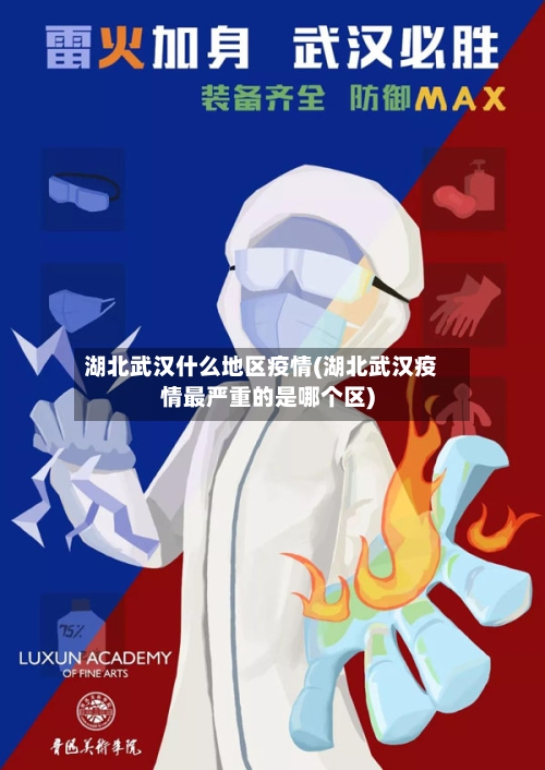 湖北武汉什么地区疫情(湖北武汉疫情最严重的是哪个区)-第3张图片