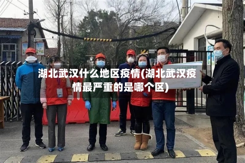 湖北武汉什么地区疫情(湖北武汉疫情最严重的是哪个区)-第2张图片