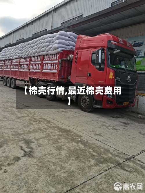 【棉壳行情,最近棉壳费用】-第1张图片