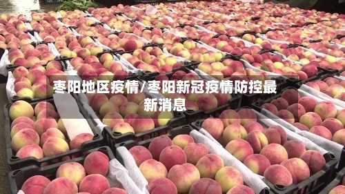 枣阳地区疫情/枣阳新冠疫情防控最新消息-第1张图片