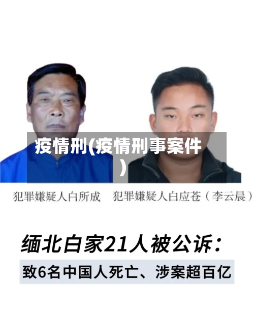 疫情刑(疫情刑事案件)-第2张图片