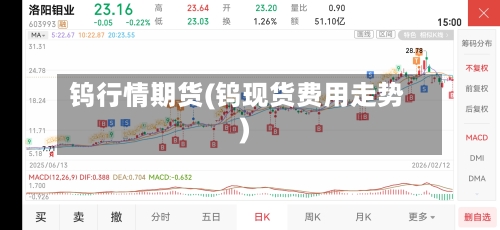 钨行情期货(钨现货费用走势)-第2张图片