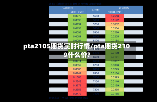 pta2105期货实时行情/pta期货2109什么价?-第3张图片