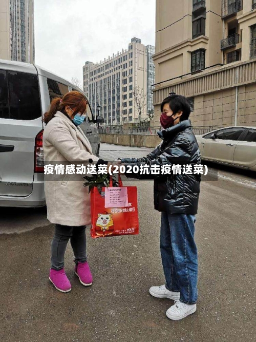 疫情感动送菜(2020抗击疫情送菜)-第2张图片