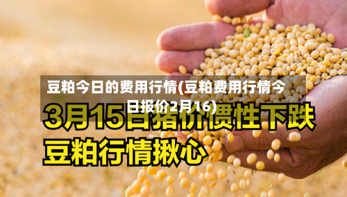 豆粕今日的费用行情(豆粕费用行情今日报价2月16)-第1张图片