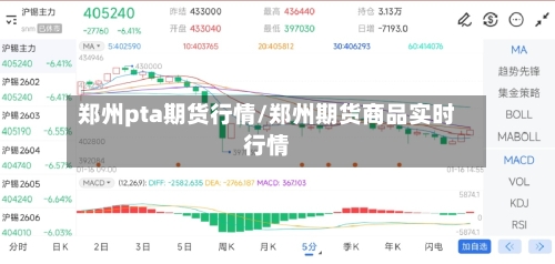 郑州pta期货行情/郑州期货商品实时行情-第1张图片