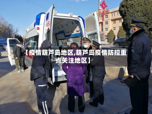 【疫情葫芦岛地区,葫芦岛疫情防控重点关注地区】-第3张图片