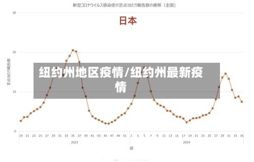纽约州地区疫情/纽约州最新疫情-第2张图片