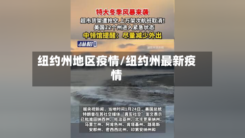 纽约州地区疫情/纽约州最新疫情-第3张图片