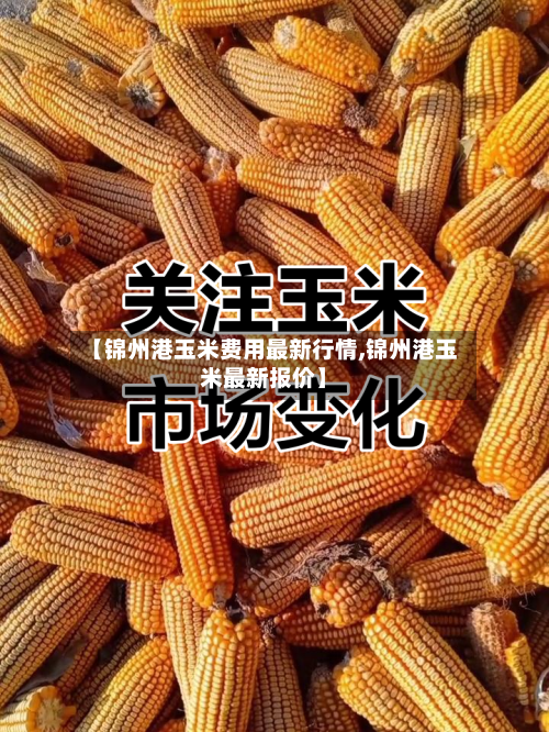【锦州港玉米费用最新行情,锦州港玉米最新报价】