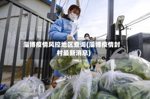 淄博疫情风控地区查询(淄博疫情封村最新消息)-第3张图片