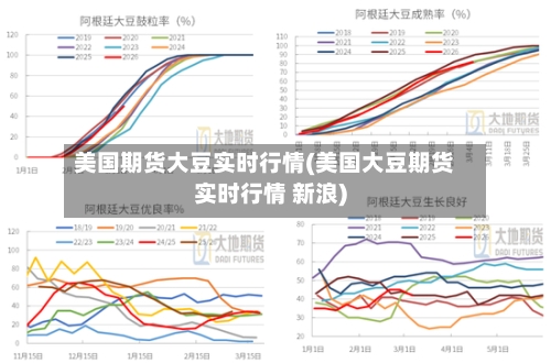 美国期货大豆实时行情(美国大豆期货实时行情 新浪)-第1张图片