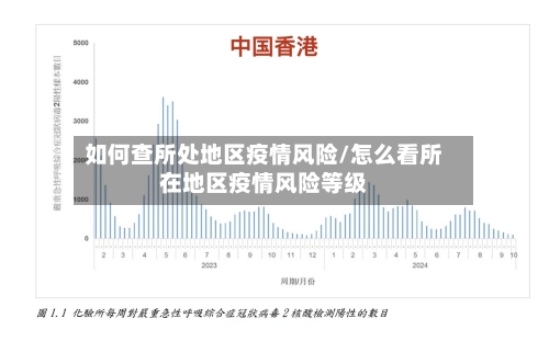 如何查所处地区疫情风险/怎么看所在地区疫情风险等级-第3张图片