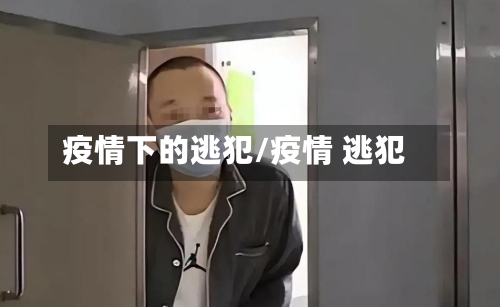 疫情下的逃犯/疫情 逃犯-第3张图片
