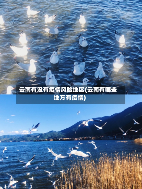 云南有没有疫情风险地区(云南有哪些地方有疫情)-第1张图片