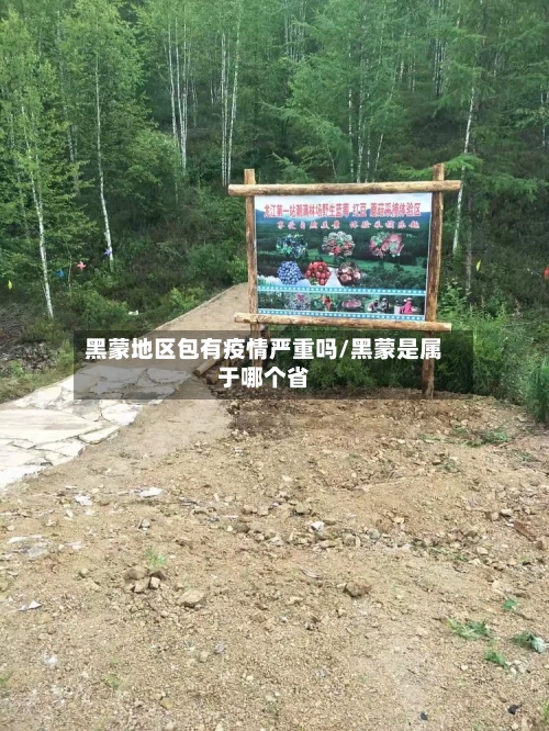 黑蒙地区包有疫情严重吗/黑蒙是属于哪个省-第1张图片