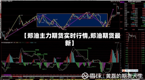 【郑油主力期货实时行情,郑油期货最新】-第1张图片
