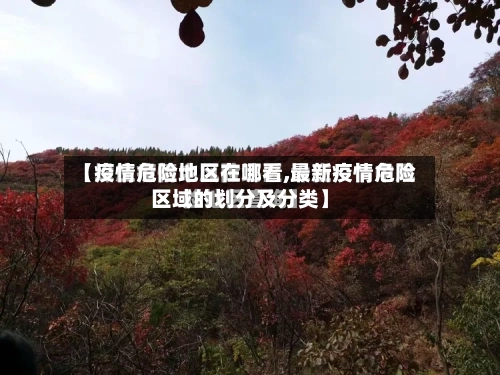 【疫情危险地区在哪看,最新疫情危险区域的划分及分类】-第2张图片