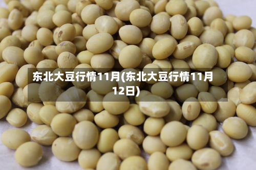 东北大豆行情11月(东北大豆行情11月12日)-第3张图片