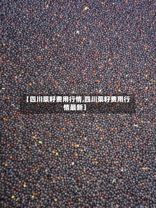【四川菜籽费用行情,四川菜籽费用行情最新】-第1张图片