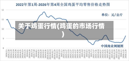关于鸡蛋行情(鸡蛋的市场行情)-第2张图片