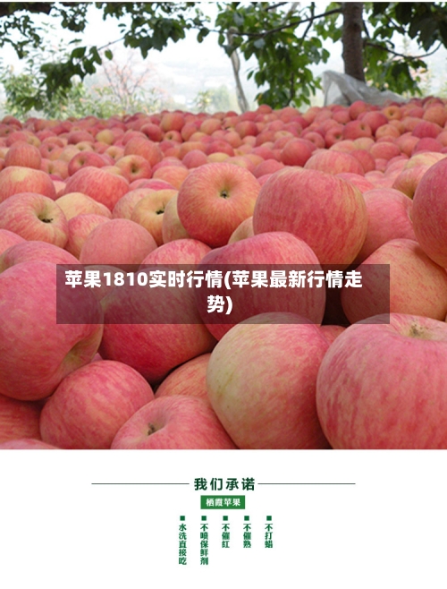 苹果1810实时行情(苹果最新行情走势)-第1张图片