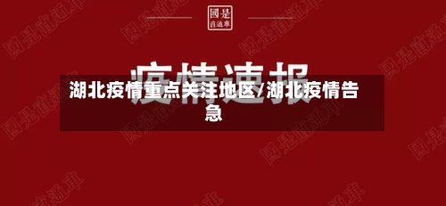 湖北疫情重点关注地区/湖北疫情告急-第2张图片