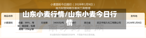 山东小麦行情/山东小麦今日行情-第2张图片